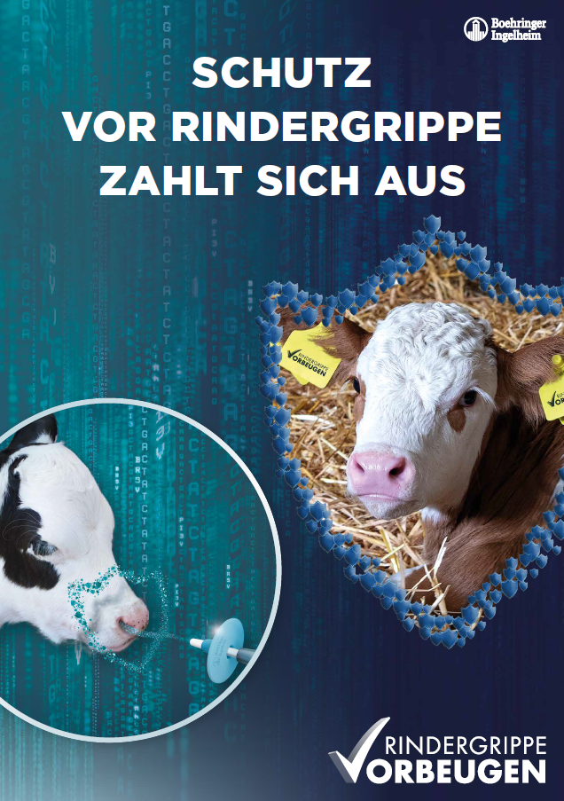 Broschüren Rind Boehringer Ingelheim Vetmedica