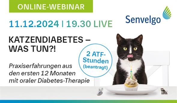 Katzendiabetes – was tun?! Praxiserfahrungen aus den ersten 12 Monaten mit oraler Diabetes-Therapie