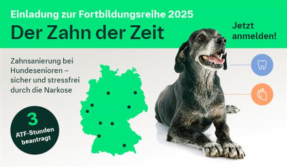 Zahn der Zeit - Zahnsanierung bei Hundesenioren - Hannover