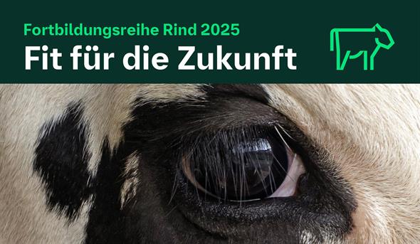 Fortbildungsreihe Rind 2025 